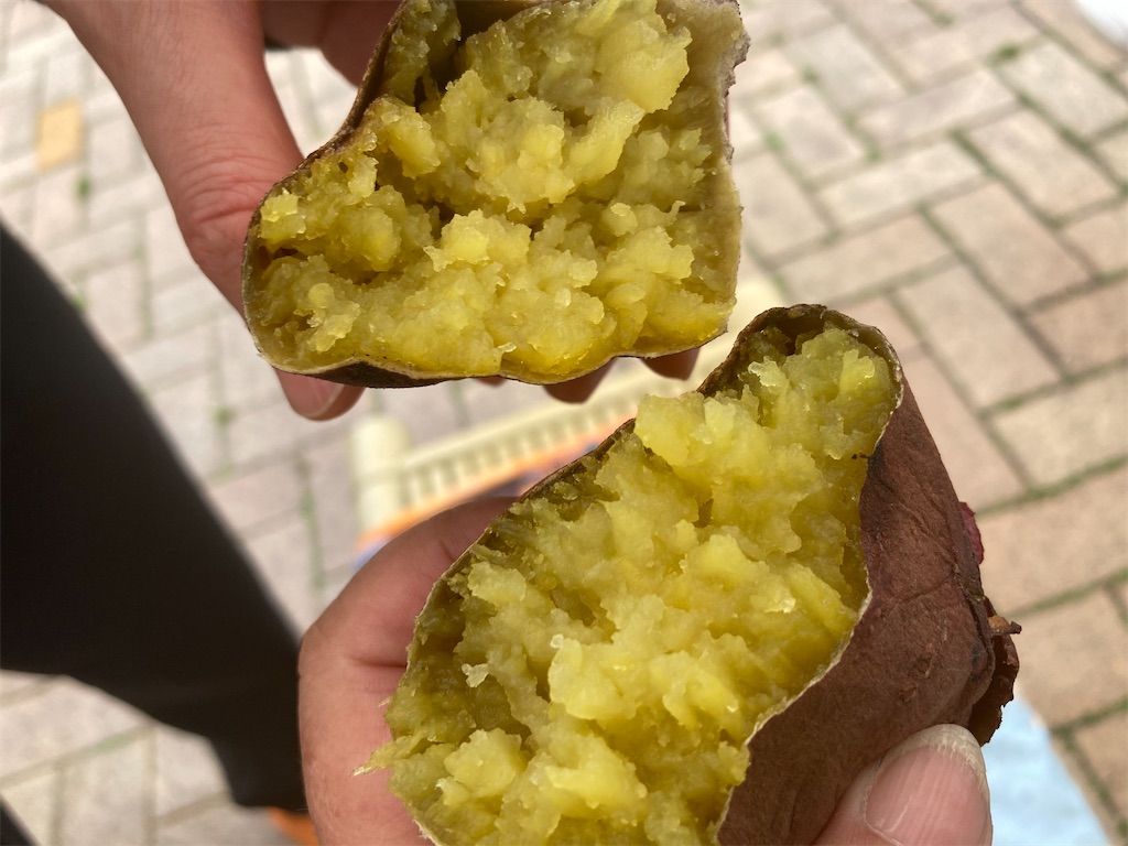 f:id:narutabi:20230502221845j:image