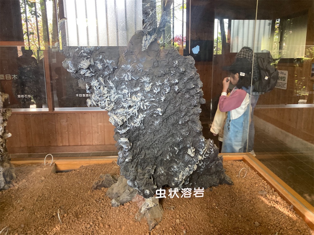 f:id:narutabi:20230506095344j:image f:id:narutabi:20230506095344j:image