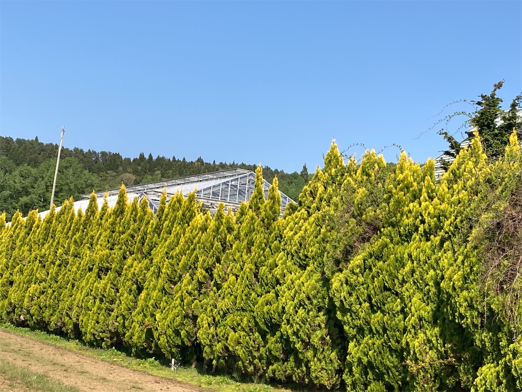 f:id:narutabi:20230506095359j:image f:id:narutabi:20230506095359j:image