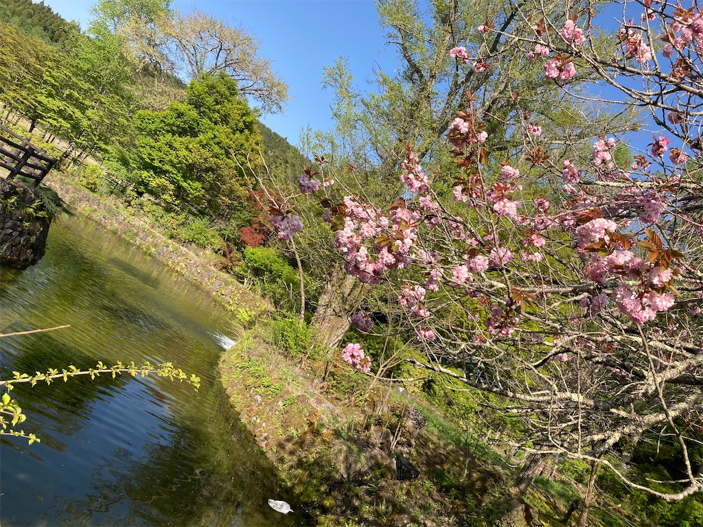 f:id:narutabi:20230506095434j:image f:id:narutabi:20230506095434j:image