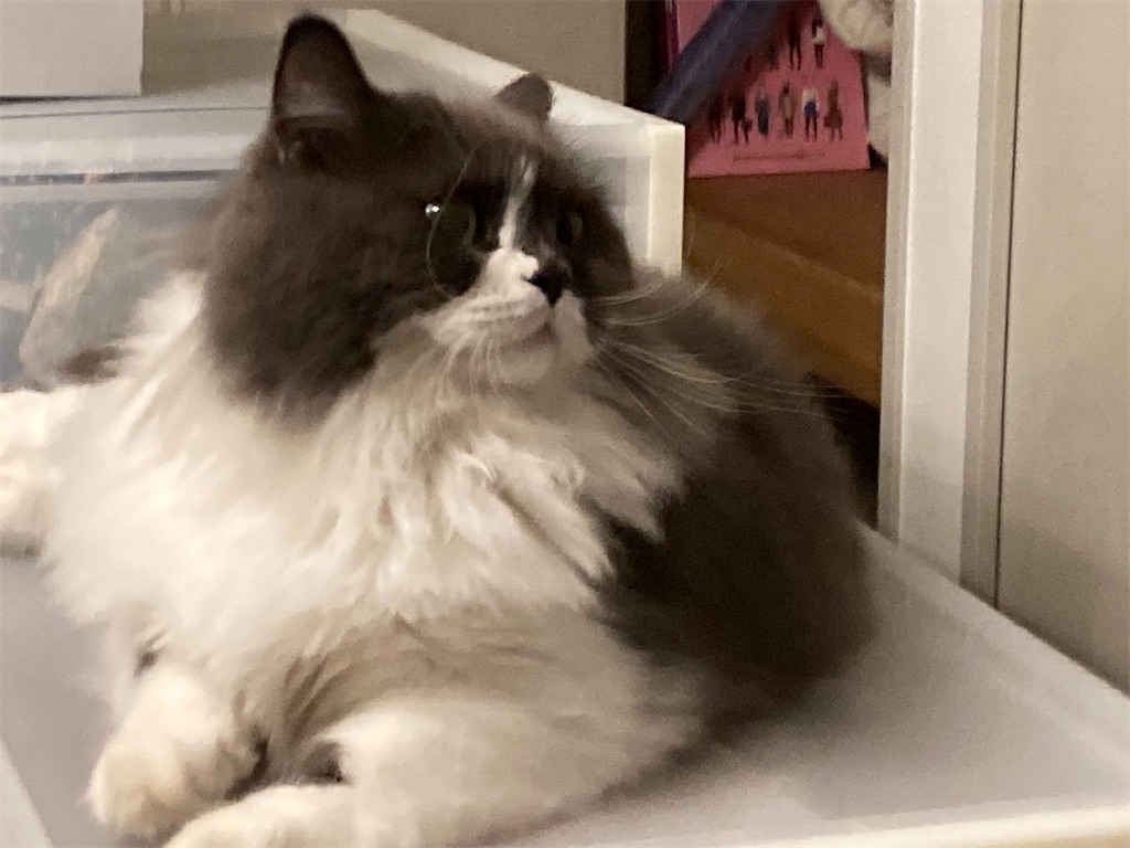 f:id:narutabi:20230511213055j:image f:id:narutabi:20230511213055j:image