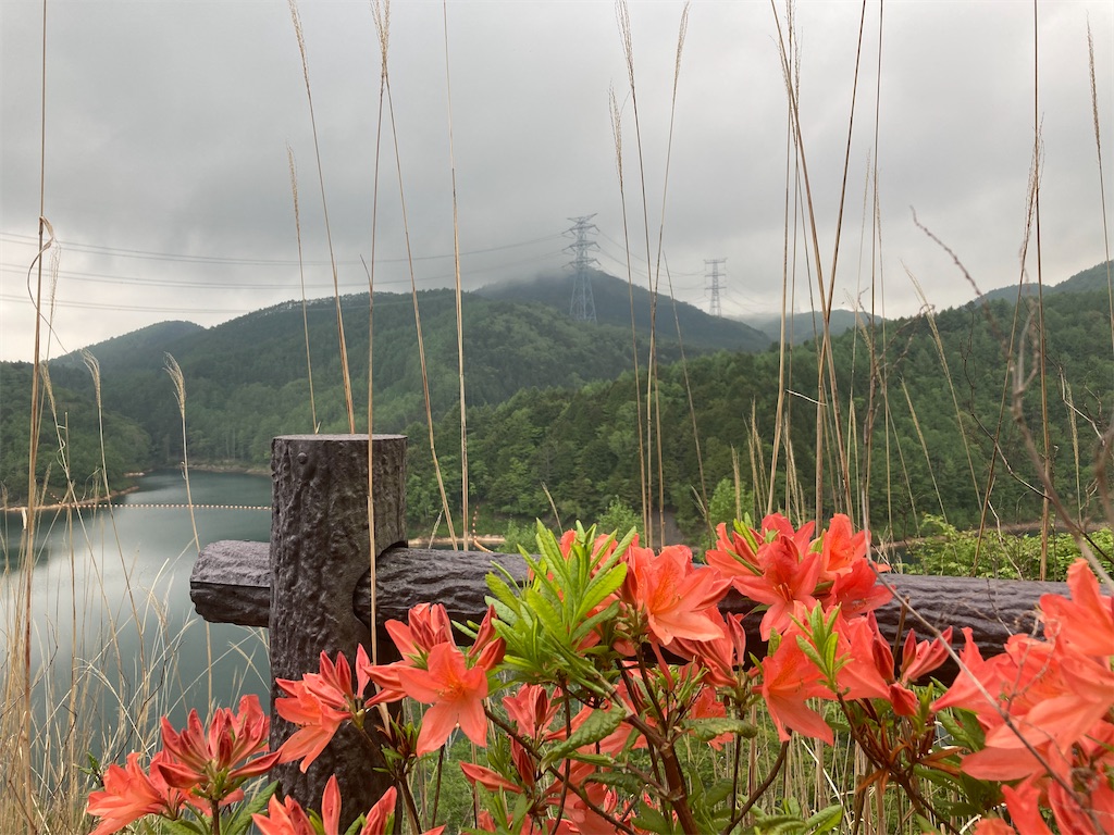 f:id:narutabi:20230524200319j:image f:id:narutabi:20230524200319j:image