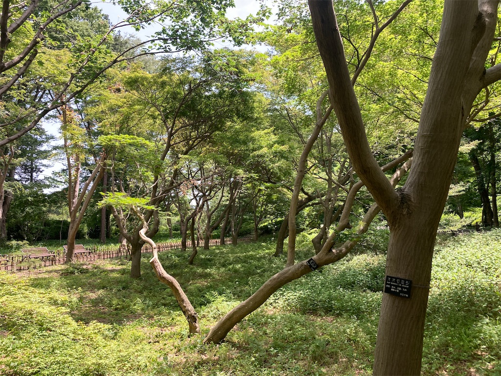 f:id:narutabi:20230528103158j:image f:id:narutabi:20230528103158j:image