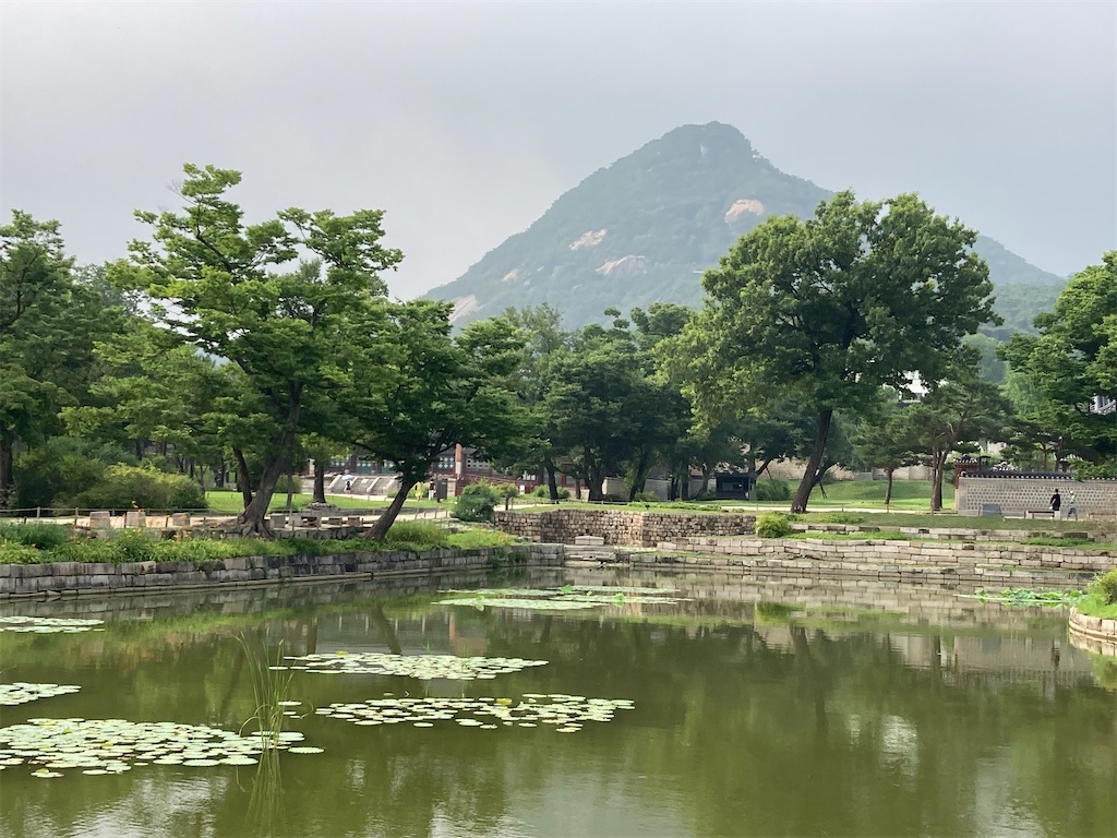 f:id:narutabi:20230705004921j:image