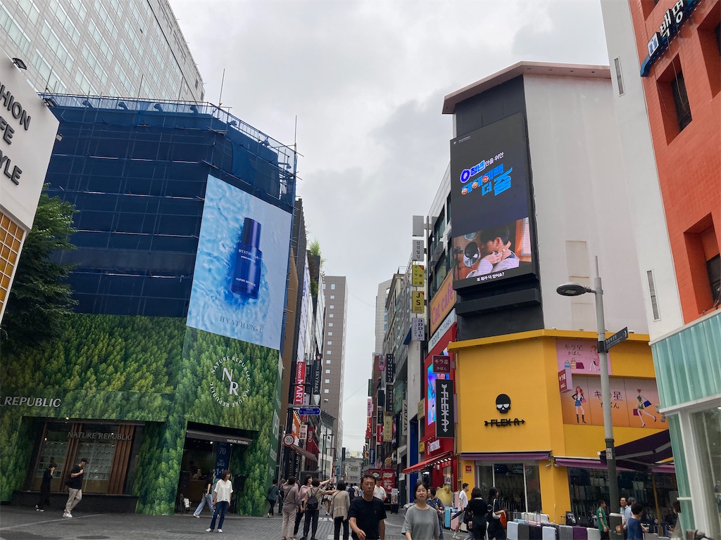 f:id:narutabi:20230705004931j:image