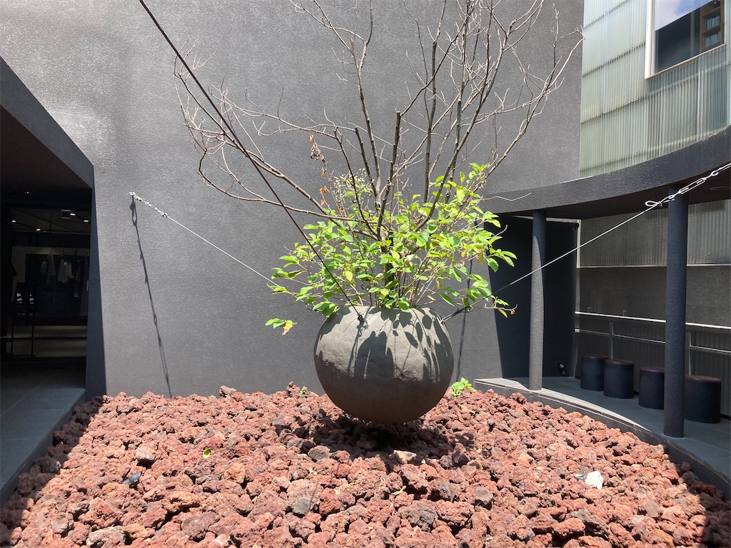 f:id:narutabi:20230708221534j:image f:id:narutabi:20230708221534j:image