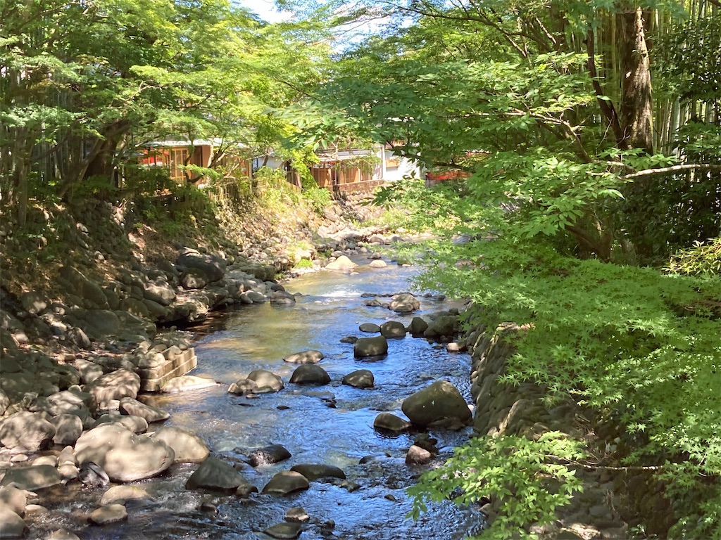 f:id:narutabi:20230731174854j:image f:id:narutabi:20230731174854j:image