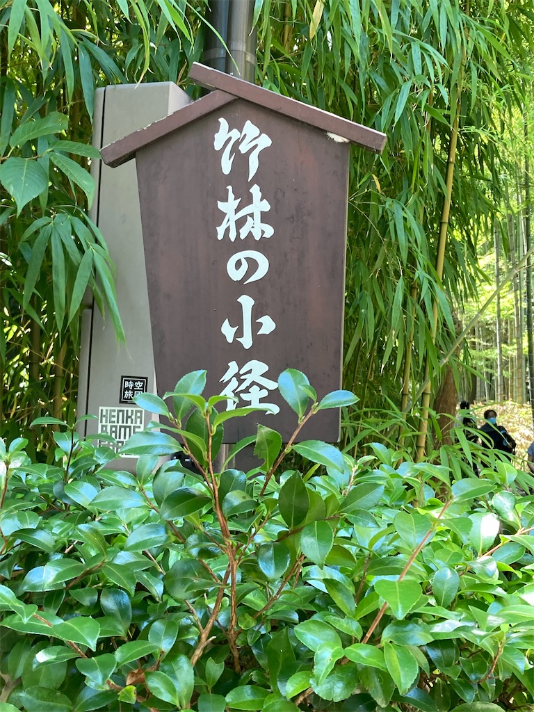 f:id:narutabi:20230731174942j:image f:id:narutabi:20230731174942j:image