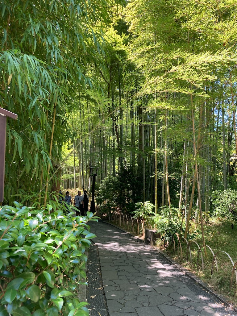 f:id:narutabi:20230731175003j:image f:id:narutabi:20230731175003j:image