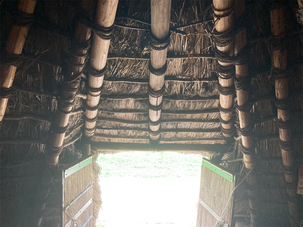 f:id:narutabi:20230816230040j:image