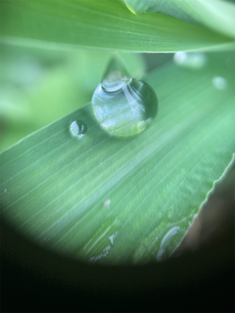 f:id:narutabi:20230816230331j:image