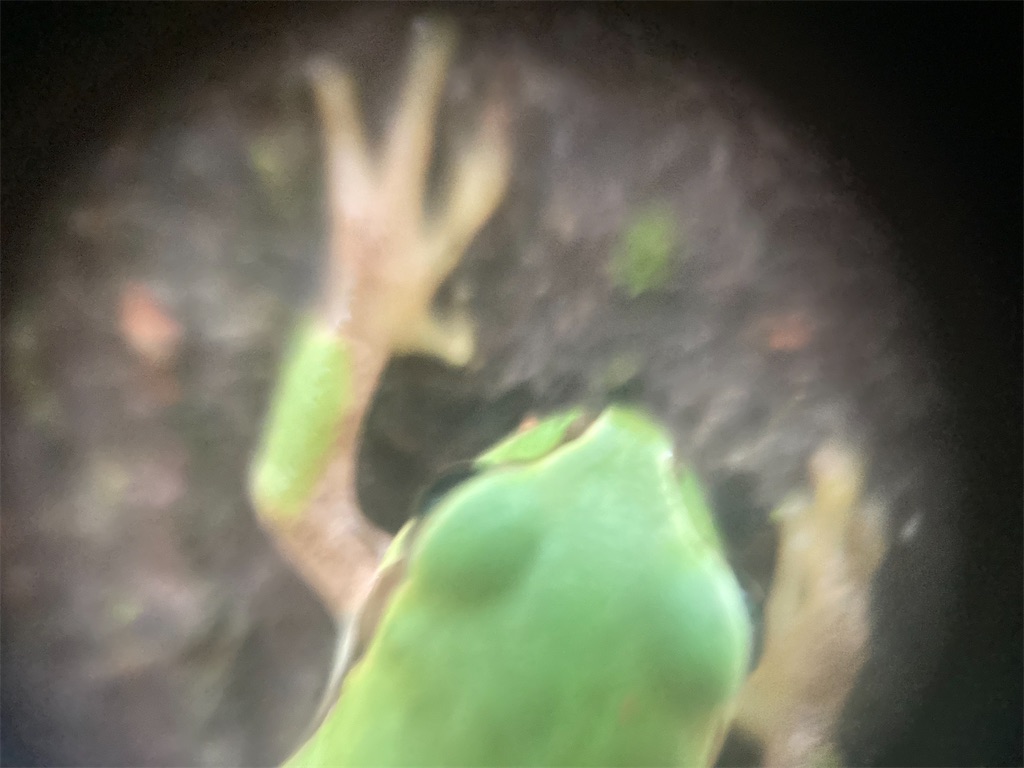 f:id:narutabi:20230816230338j:image