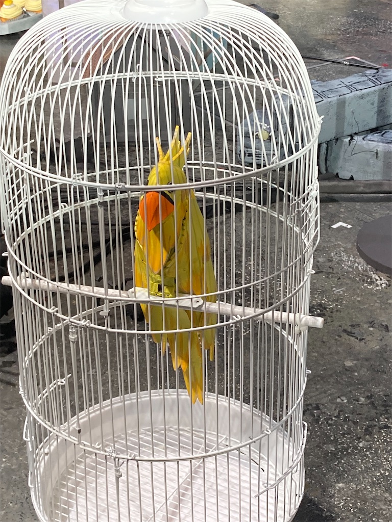 f:id:narutabi:20230821184931j:image