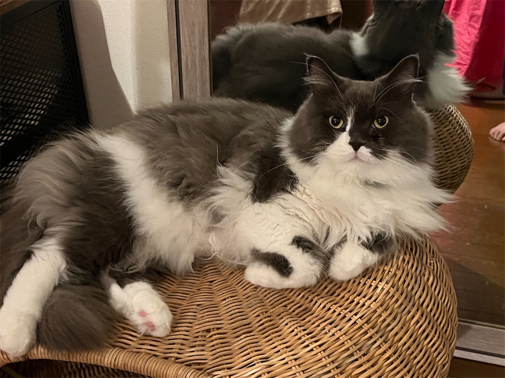 f:id:narutabi:20230829105046j:image