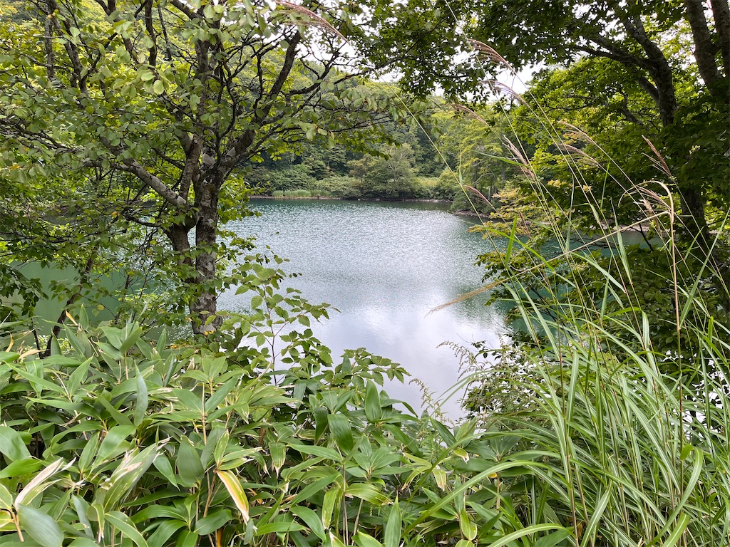 f:id:narutabi:20230923230425j:image f:id:narutabi:20230923230425j:image