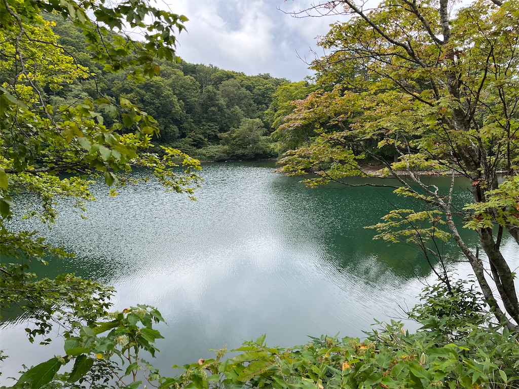 f:id:narutabi:20230923230444j:image f:id:narutabi:20230923230444j:image