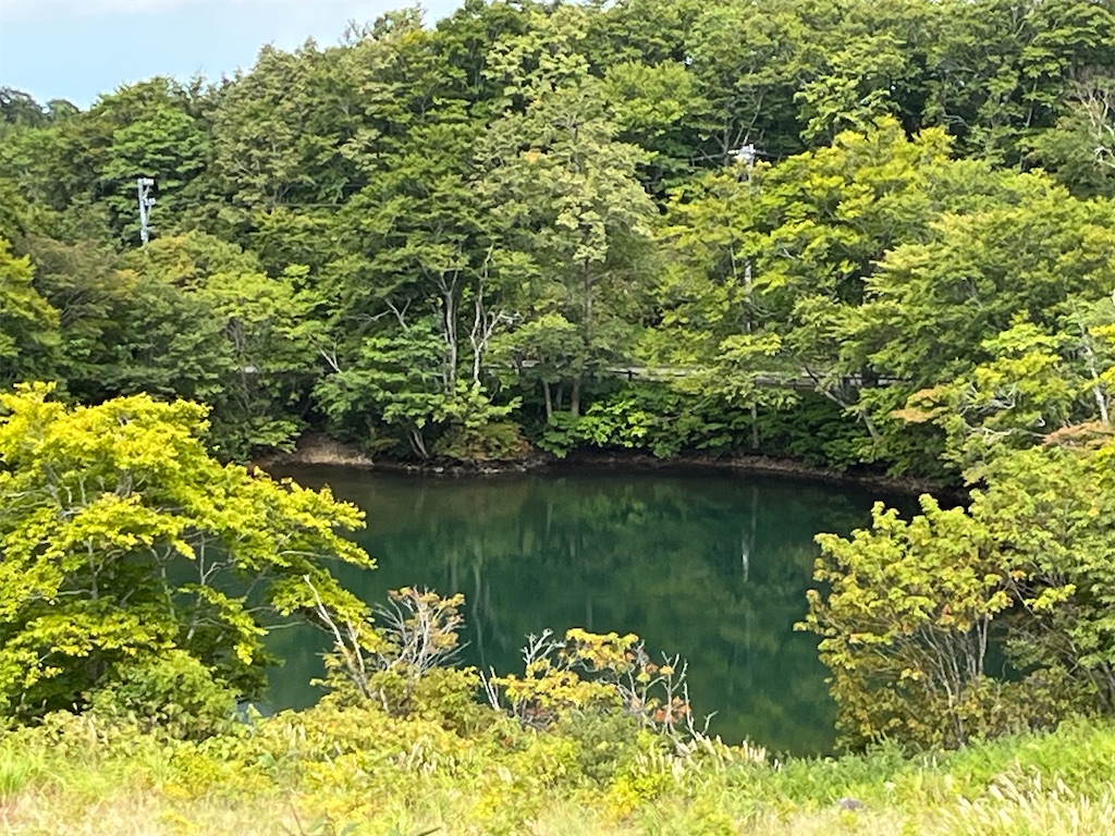 f:id:narutabi:20230923230513j:image f:id:narutabi:20230923230513j:image