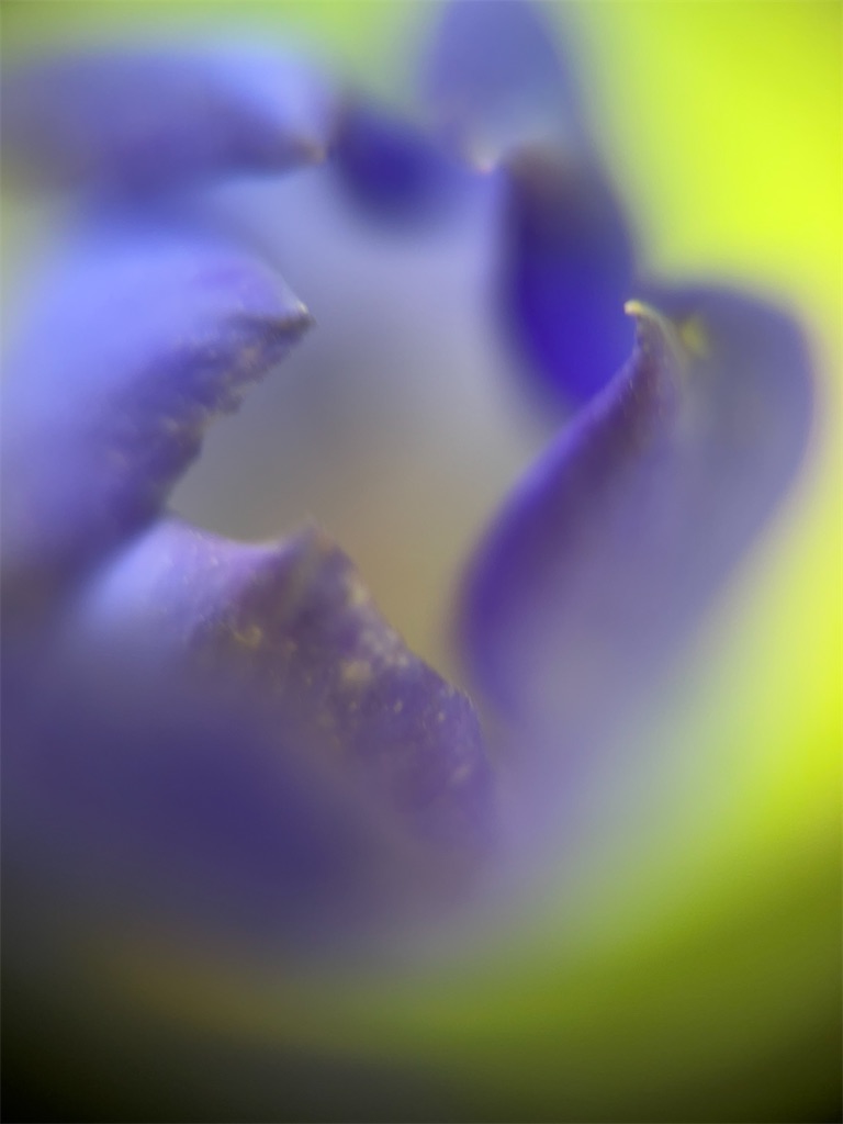 f:id:narutabi:20230923231748j:image f:id:narutabi:20230923231748j:image