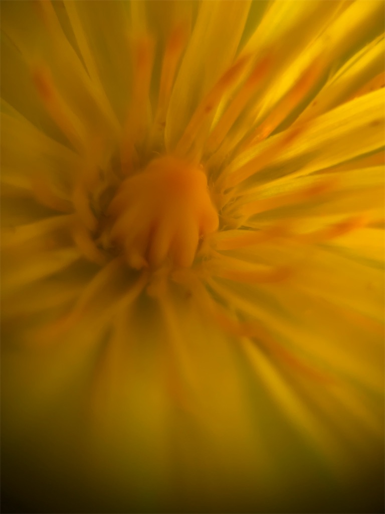 f:id:narutabi:20230923231948j:image f:id:narutabi:20230923231948j:image