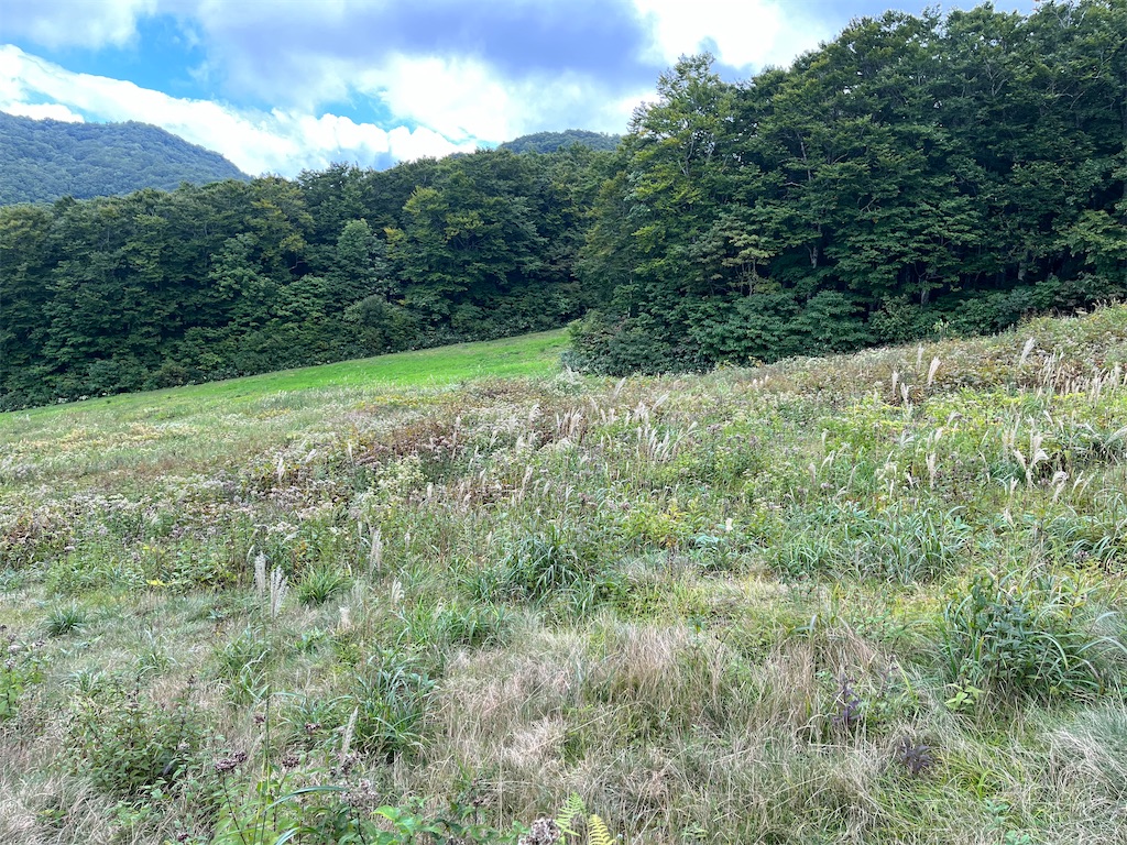 f:id:narutabi:20230924113618j:image f:id:narutabi:20230924113618j:image
