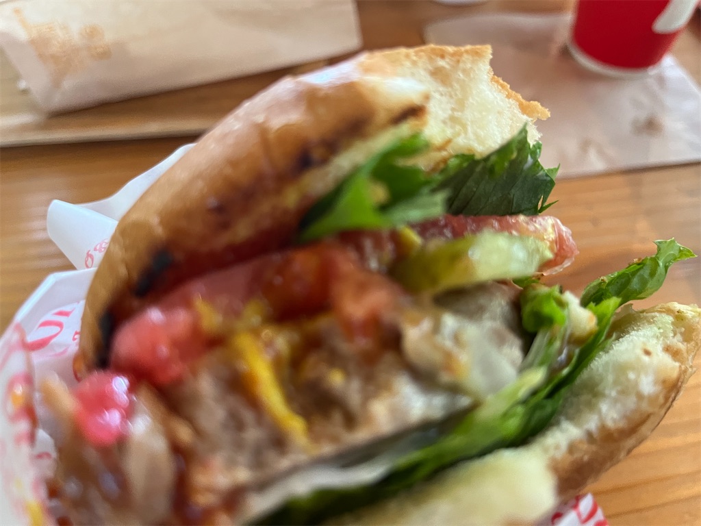 f:id:narutabi:20230926204837j:image