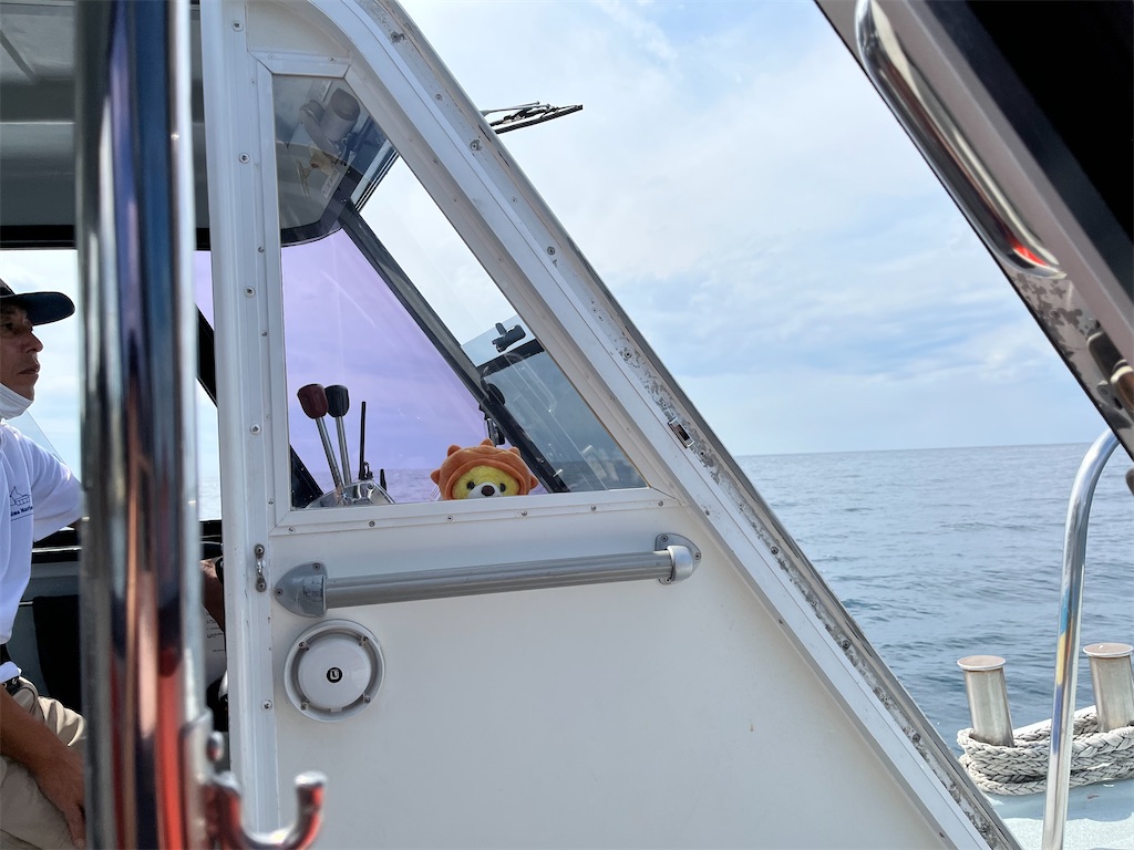 f:id:narutabi:20231004215256j:image f:id:narutabi:20231004215256j:image