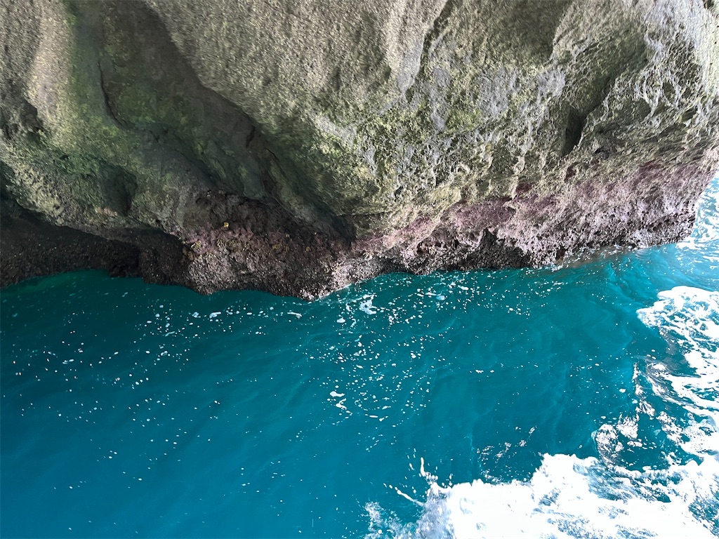 f:id:narutabi:20231004215333j:image f:id:narutabi:20231004215333j:image