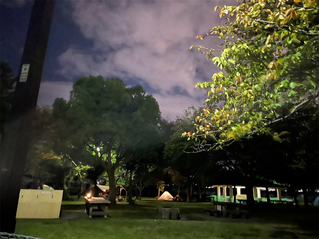 f:id:narutabi:20231113213931j:image