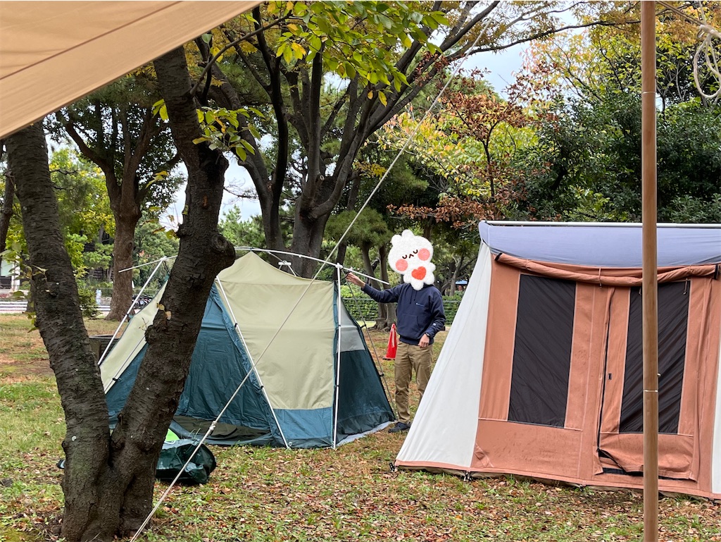 f:id:narutabi:20231113214132j:image