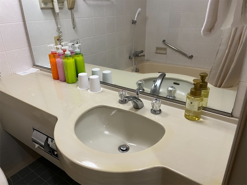 f:id:narutabi:20231127222200j:image