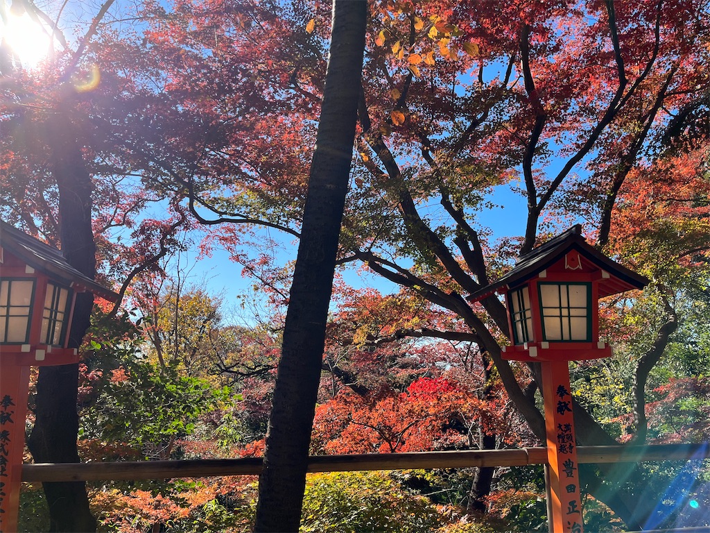 f:id:narutabi:20231203103746j:image