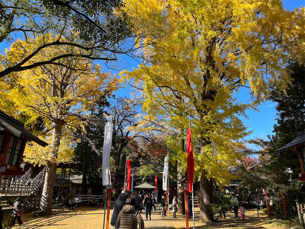 f:id:narutabi:20231203103819j:image