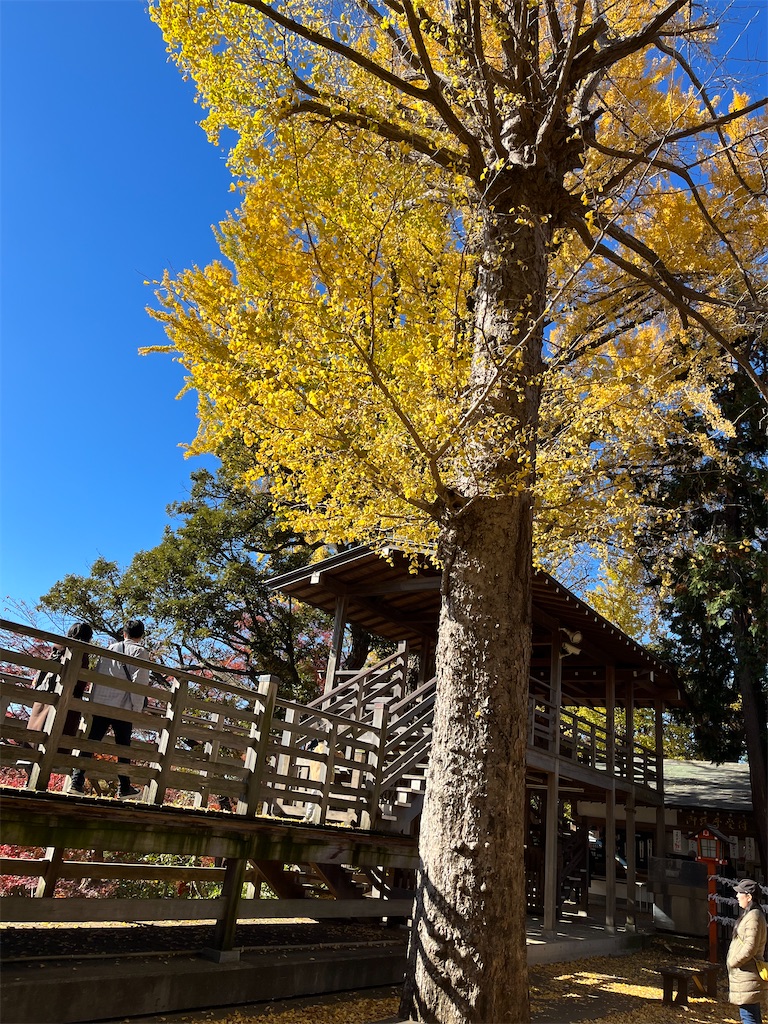 f:id:narutabi:20231203103829j:image