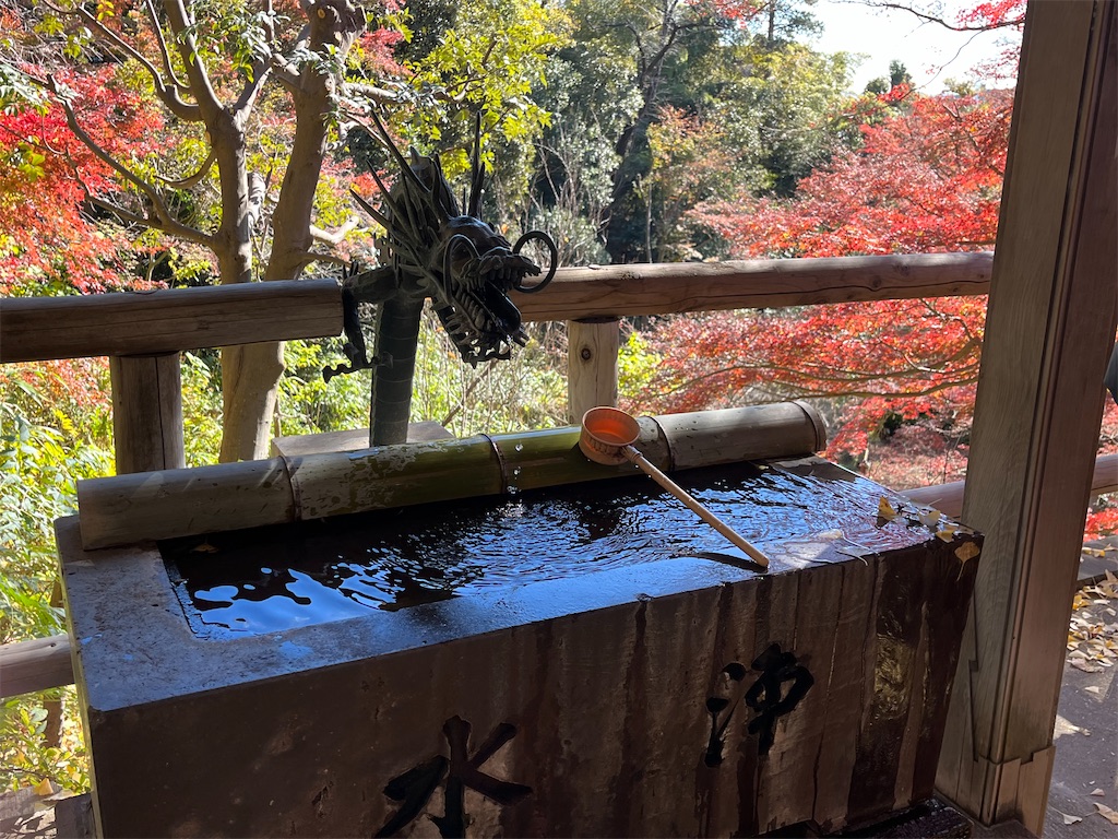 f:id:narutabi:20231203103832j:image