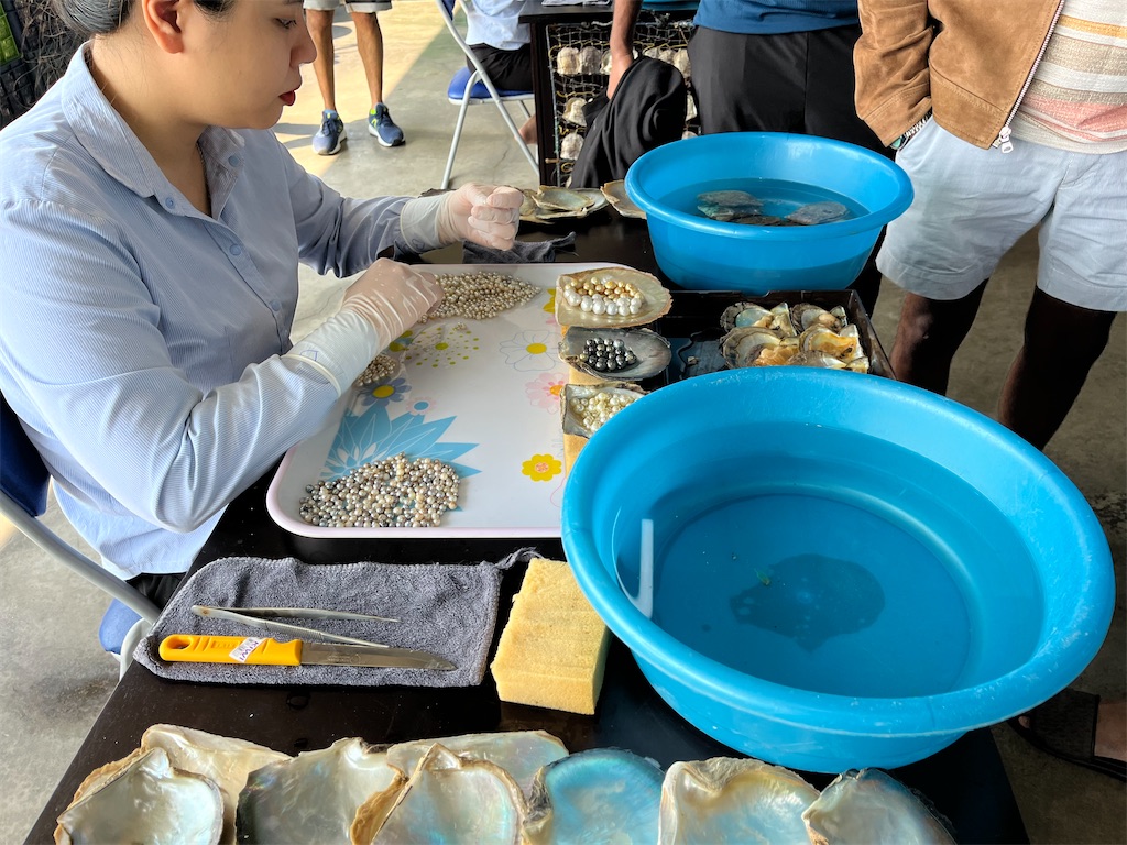 f:id:narutabi:20231205011256j:image