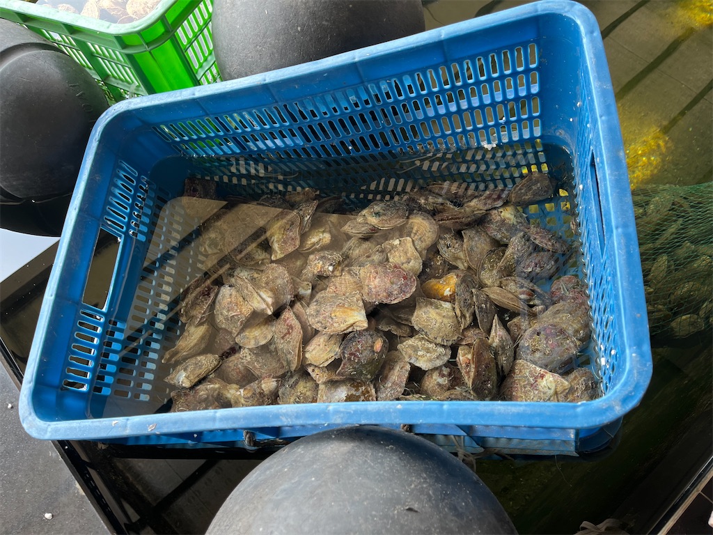 f:id:narutabi:20231205011259j:image