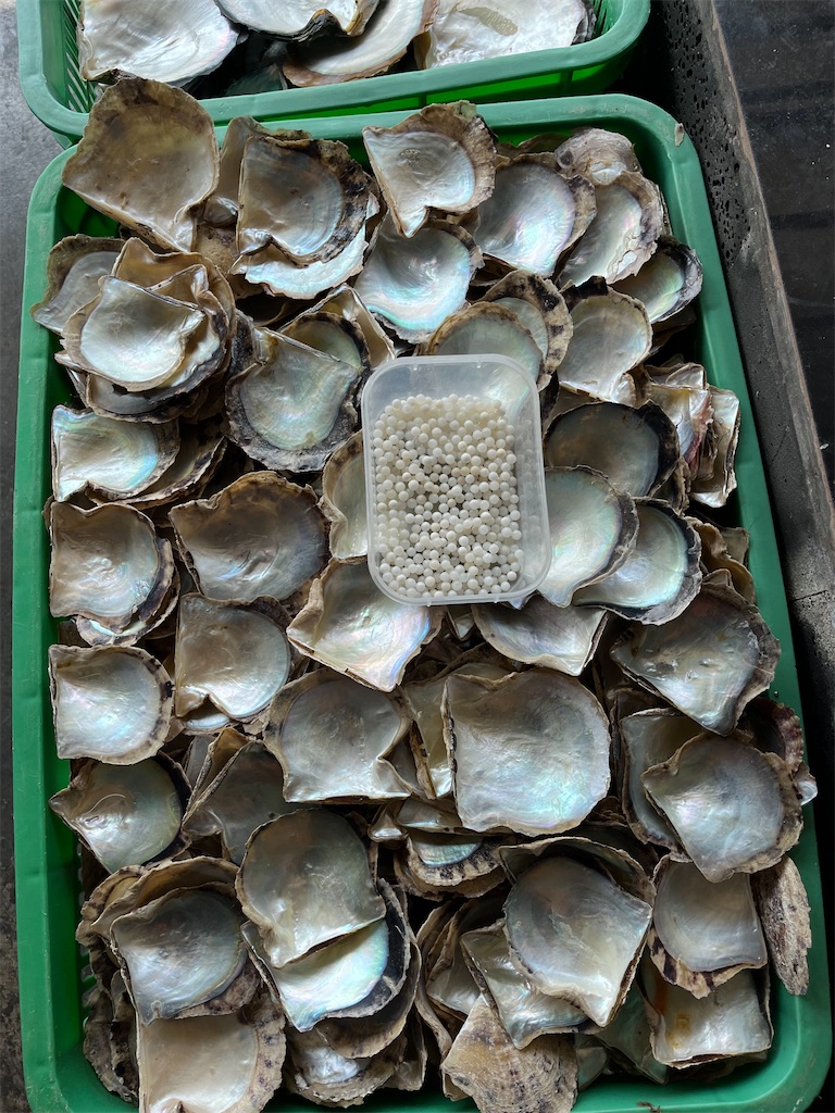 f:id:narutabi:20231205011323j:image