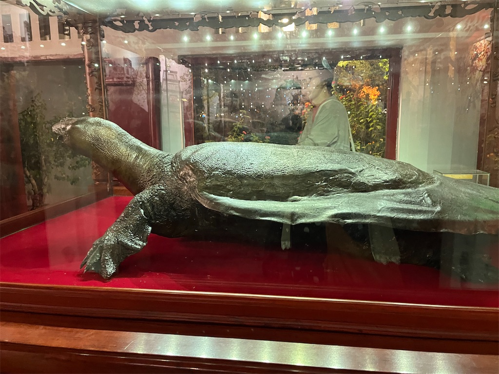 f:id:narutabi:20231219201422j:image