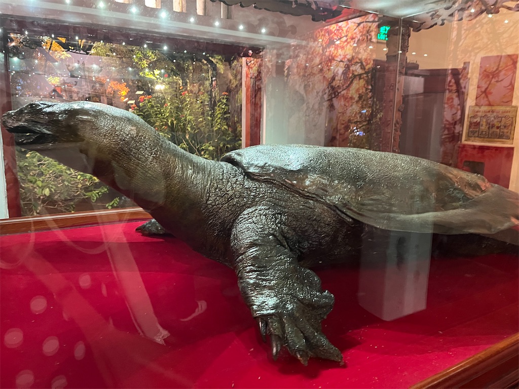 f:id:narutabi:20231219201432j:image