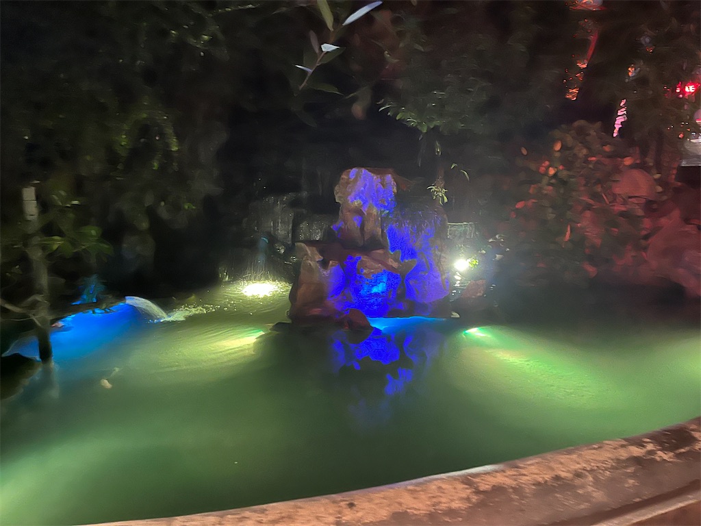 f:id:narutabi:20231219201452j:image