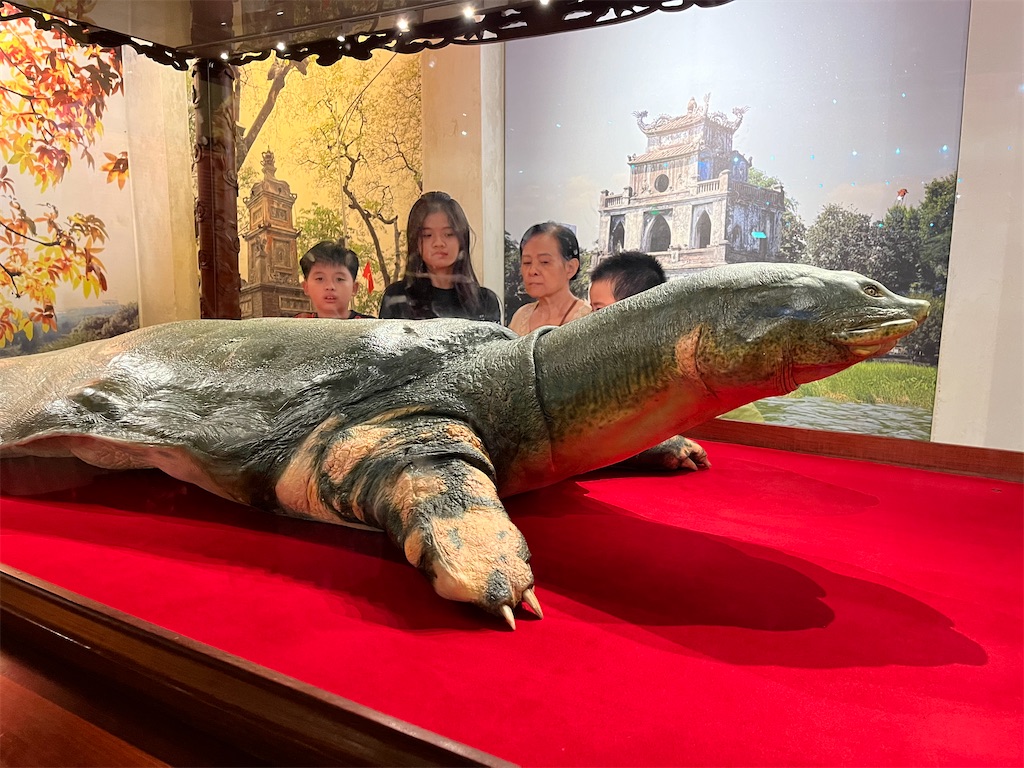 f:id:narutabi:20231219201458j:image