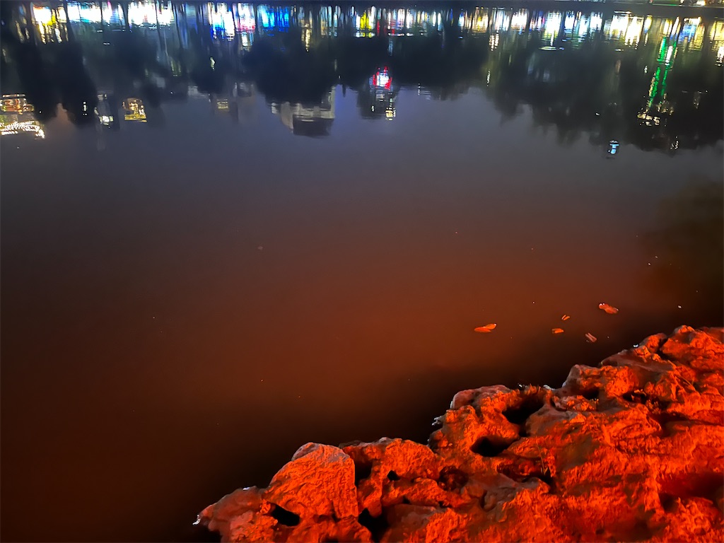 f:id:narutabi:20231219201559j:image