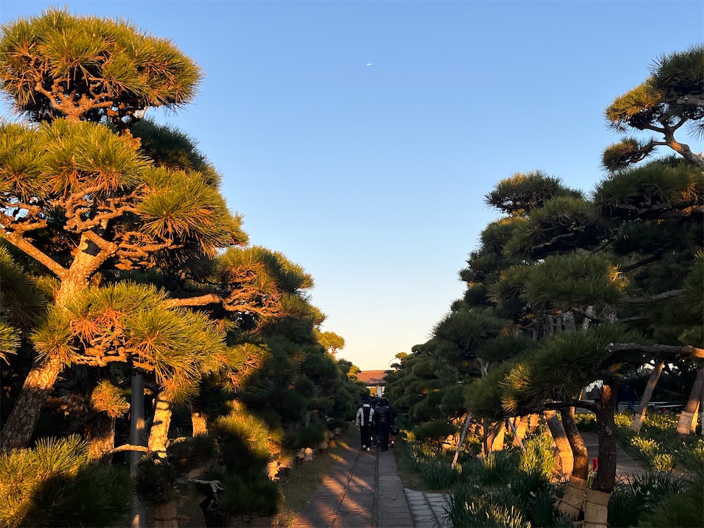 f:id:narutabi:20240101163923j:image