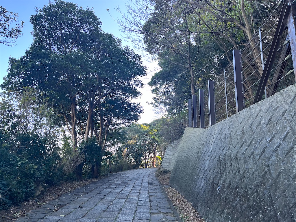 f:id:narutabi:20240101164001j:image