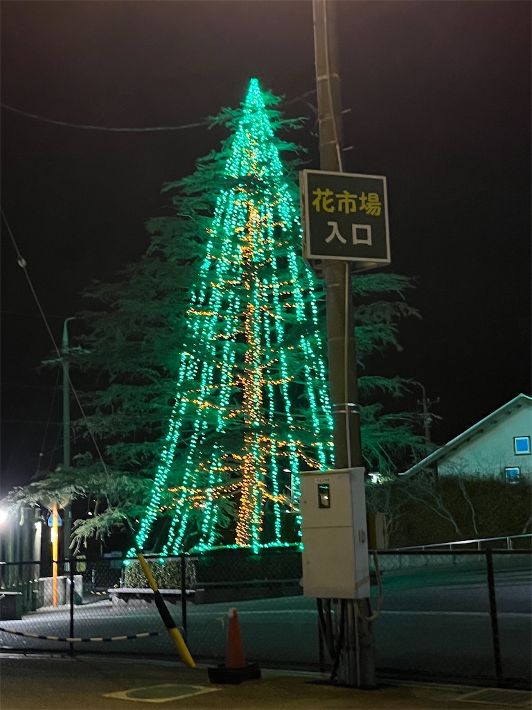 f:id:narutabi:20240121145926j:image