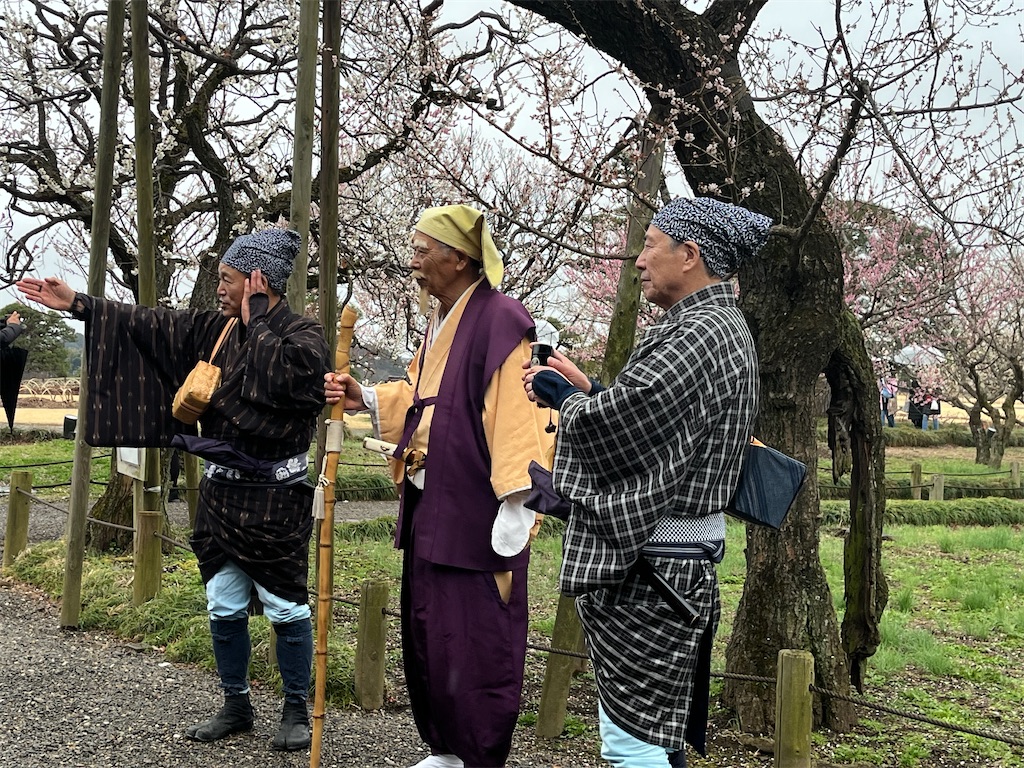 f:id:narutabi:20240228110351j:image