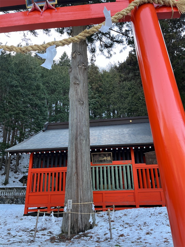 f:id:narutabi:20240320222424j:image