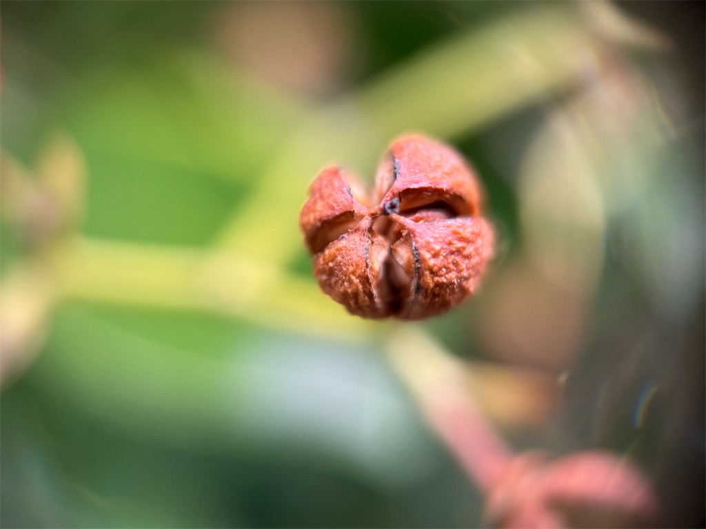 f:id:narutabi:20240320223744j:image