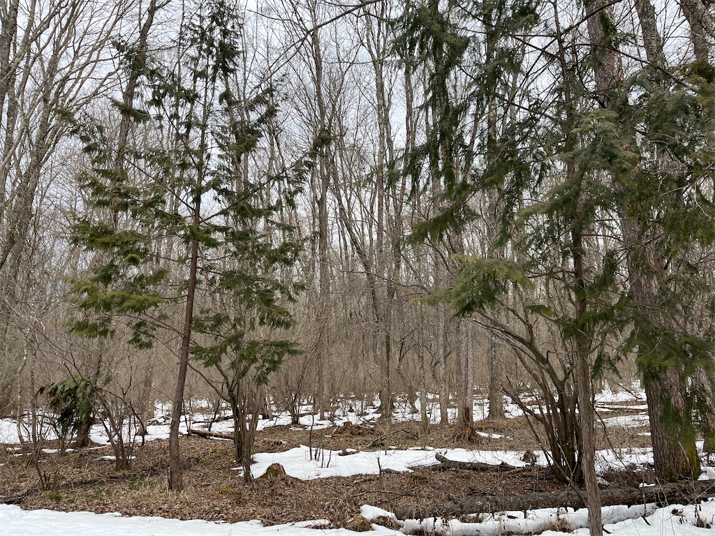 f:id:narutabi:20240320223806j:image