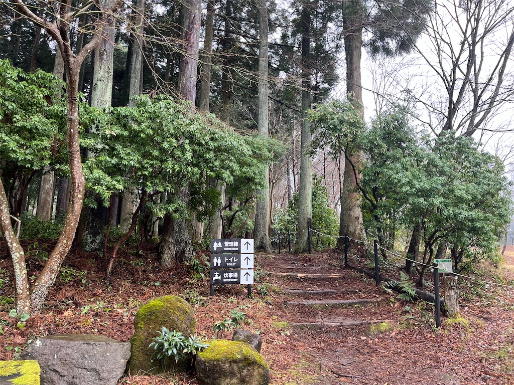 f:id:narutabi:20240326204445j:image